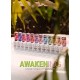 Coleção AWAKENING Verniz Gel PURE (gama branca) Victoria Vynn 12 tons pastel