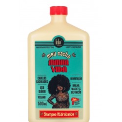 Meu Cacho Minha Vida Cabelos Cacheados e Crespos LOLA Cosmetics