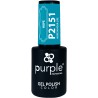 Verniz Gel (Gel Polish) 10ml Purple Professional