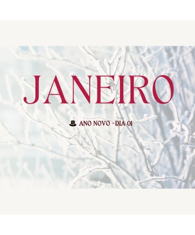 Agenda 2026 A4 com argolas plano semanal