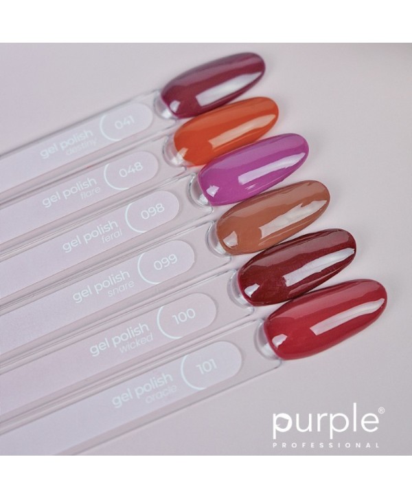 JAN'26 KIT Coleção NR-4 Gel Polish Verniz Gel 10ml - Purple Professional