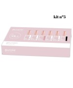 FEV'26 KIT Coleção NR-5 Gel Polish Verniz Gel 10ml - Purple Professional