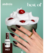 Verniz Gel Andreia 10.5ml