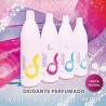 Oxidante Com Pantenol 1000ml Violet 