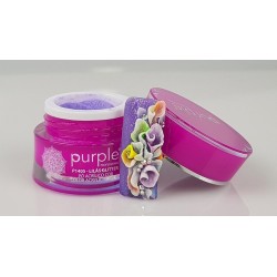 Pó Acrílico de Cor 5Grs - Purple Professional
