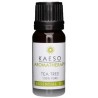 Óleo Essencial 30ml - Tassel