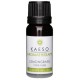 Óleo Essencial 30ml - Tassel